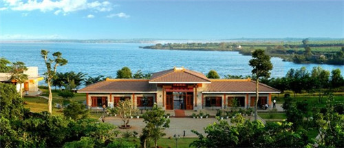 疯炊草冻烧仙草