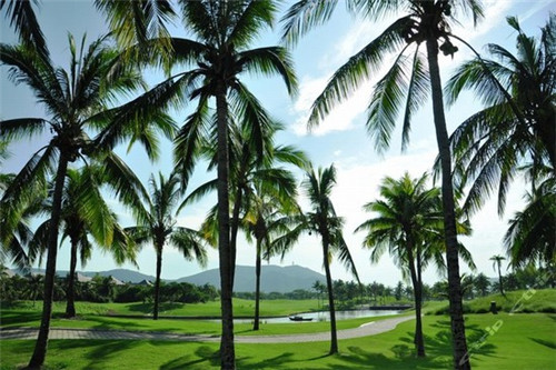 在定远县加盟串巷子串串香什么位置客源多