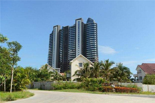 伊布十大未解之谜是什么（伊布介绍）